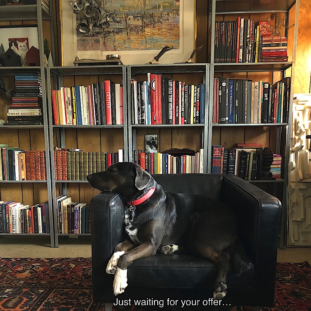 Me, waiting on an offer…